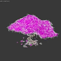 Purple Tree with Lush Leaves Brown Trunk Surrounded by Scattered Petals and Small Stones