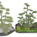 Arbor Trees With Decorative Stones And Green Plants In Garden Landscape