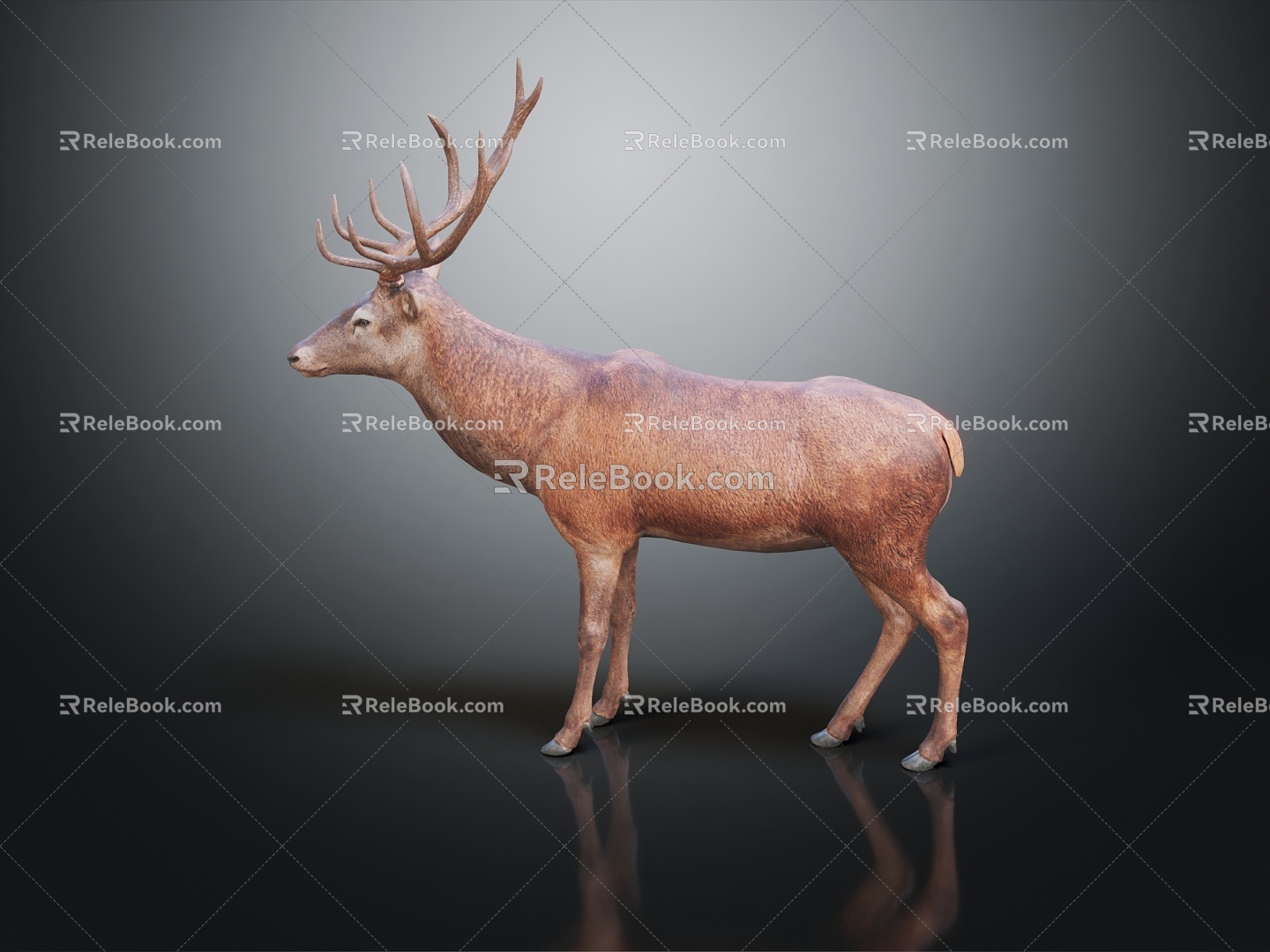 Modern Deer Sika Deer Elk 3d model