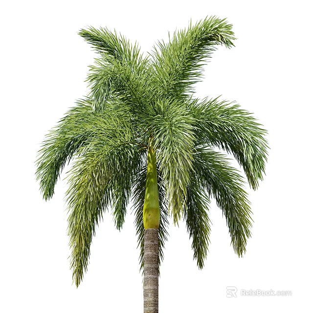 Lush Tropical Palm Tree With Green Feathery Fronds And Brown Trunk 3d model 