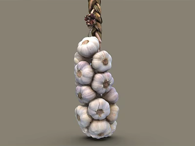 Fresh Garlic Bulbs Bunch Hanging With Natural Twisted Rope For Storage 3d model