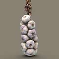 Fresh Garlic Bulbs Bunch Hanging With Natural Twisted Rope For Storage