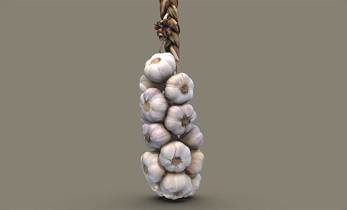 Modern Garlic 3d model