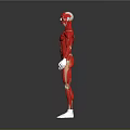 Anatomical Full Body Human Muscle 3D Model Displaying Limb Muscular Structure