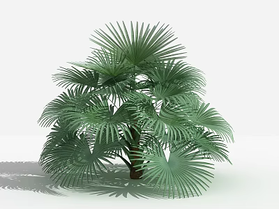 Lush Green Shrub With Broad Leaves 3D Model On White Background With Shadow 3d model