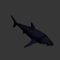 3D Metallic Shark Model With Sleek Surface And Modern Design Features