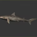 Realistic 3D Rendered Striped Brown Shark with Lifelike Features on Dark Background