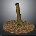 Natural Wooden Tree Stump With Stone Chip Covered Base And Visible Roots
