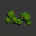 Green Spherical Plants With Yellow Spots On Orange Stems Against Dark Background