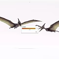 Prehistoric Flying Reptiles Pterosaurs Soaring High In Clear Sky With Broad Wings