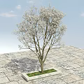 Tree Pit with Blooming White Flower Tree on Stone Pavement Under Blue Sky 3d model