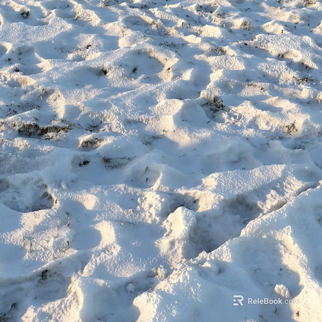 Fresh Footprints On Snowy Ground With Natural Textured Surface And Sunlight 3d model 
