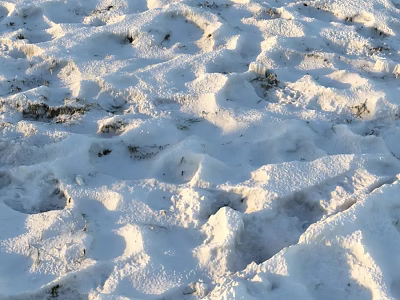 Fresh Footprints On Snowy Ground With Natural Textured Surface And Sunlight 3d model