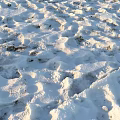 Fresh Footprints On Snowy Ground With Natural Textured Surface And Sunlight