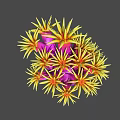 Vibrant Yellow And Pink Radial Flower Like Structure On Gray Background