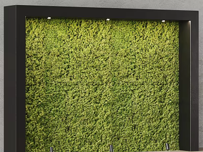 Modern Indoor Green Plant Wall Design With Lush Evergreen Plants Decoration 3d model