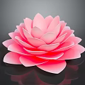 Beautiful Pink Lotus Flower With Soft Layered Petals On Dark Background