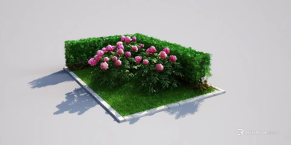 Beautiful Garden Landscape With Trimmed Green Hedge Lush Lawn And Blooming Pink Peonies 3d model 