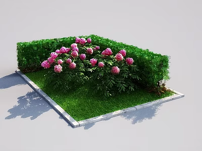 Beautiful Garden Landscape With Trimmed Green Hedge Lush Lawn And Blooming Pink Peonies 3d model