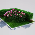 Beautiful Garden Landscape With Trimmed Green Hedge Lush Lawn And Blooming Pink Peonies