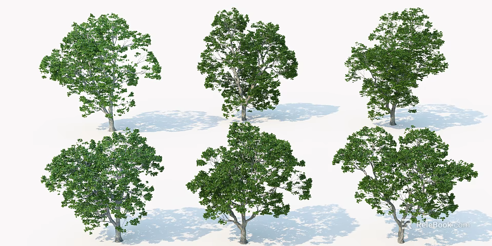 Arbor Trees With Lush Green Foliage And Various Natural Forms On White Background 3d model
