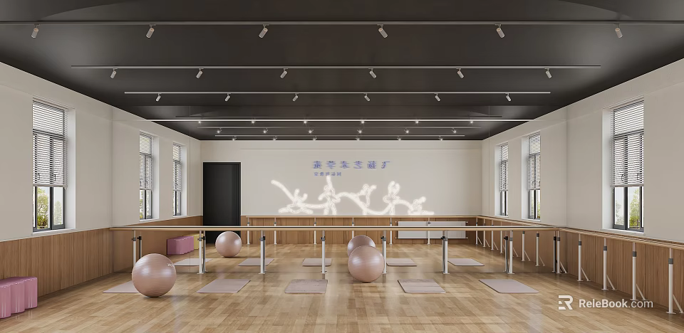 Spacious Dance Studio With Wooden Floor Barres And Exercise Balls 3d model 