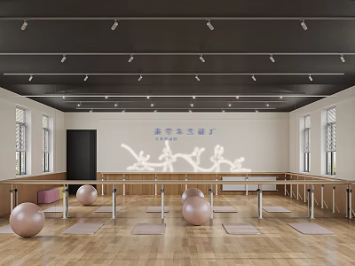 Spacious Dance Studio With Wooden Floor Barres And Exercise Balls 3d model