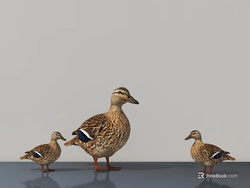 Three Reptiles of Different Sizes Standing on Gray Background Surface 3d model 