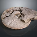 Chi chrysanthemum stone ancient fossil stone chrysanthemum fossil items 3d model