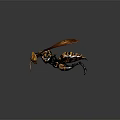 Realistic Wasp Model With Yellow And Black Stripes And Brown Wings On Dark Background