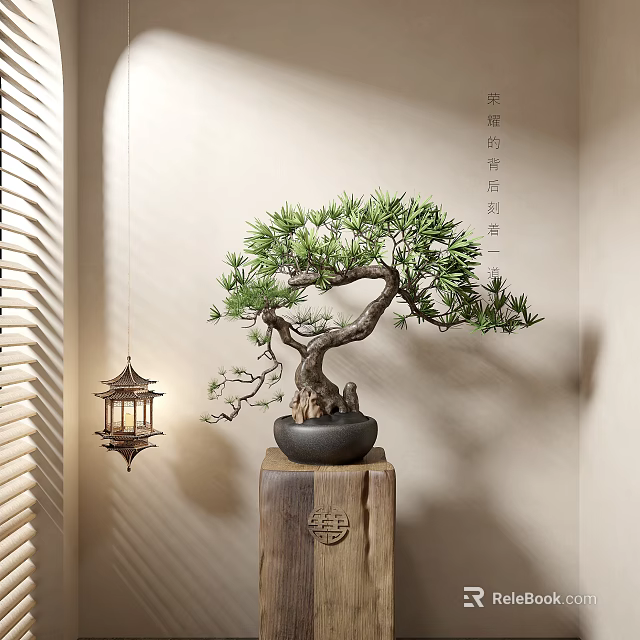 Pine Bonsai Plant on Traditional Wooden Stand with Hanging Lantern and Indoor Light Shadow 3d model 