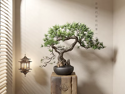 Pine Bonsai Plant on Traditional Wooden Stand with Hanging Lantern and Indoor Light Shadow 3d model