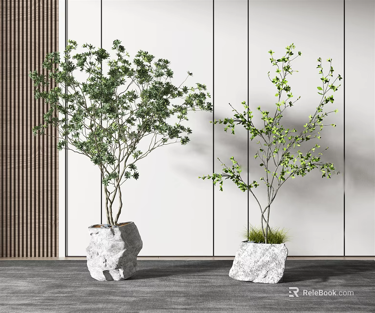 Potted Bonsai Trees with Green Foliage in Stone Planters for Modern Indoor Decor 3d model 