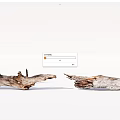 Natural Stone And Wood Driftwood Pieces With Opposing Broken Ends On White Background