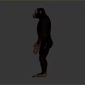 High Quality 3D Chimpanzee Model Showcasing Muscular Details And Natural Standing Position