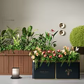 Diverse Bonsai Potted Plants With Lush Green Foliage And Colorful Flowers In Stylish Planters