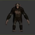 Realistic Chimpanzee 3D Model In Standing Pose With Dark Fur And Gray Background