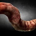 Detailed Reptile Tail With Ridged Wrinkled Surface On Dark Textured Backdrop