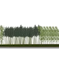 Row of Tall Trees With Various Species Against Light Colored Wall And Grass Paved Ground