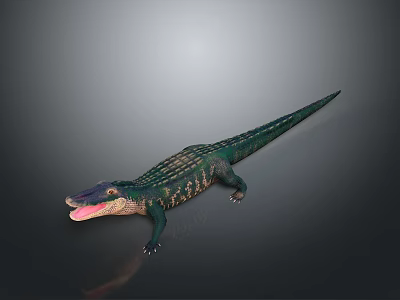 Crocodile 3D Model With Green Skin Open Mouth And Detailed Scales On Gray Background 3d model