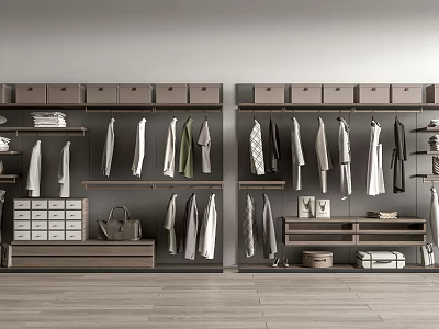 Modern Wardrobe Interior Design With Hanging Rods Drawers Storage Boxes And Shelves 3d model