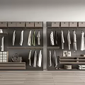 Modern Wardrobe Interior Design With Hanging Rods Drawers Storage Boxes And Shelves 3d model