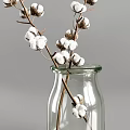 Two Transparent Glass Vases With Cotton Branches For Home Decorative Interior