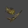 Small Detailed Bird Perched On Wooden Log Against Light Brown Background