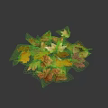 Colorful Autumn Leaves As Natural Ground Cover With Vibrant Red Yellow And Orange Tones
