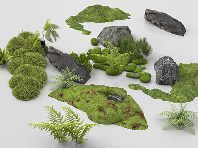Natural Micro Landform Elements With Green Moss Rocks And Fern Plants 3d model