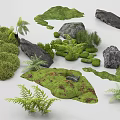 Natural Micro Landform Elements With Green Moss Rocks And Fern Plants