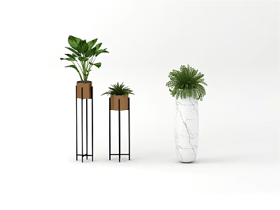 Stylish Bonsai Potted Plants with Metal Stands Brown Pots and White Transparent Vase 3d model