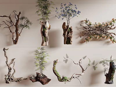 Decorative Bonsai Potted Plants With Natural Branch Shapes Ferns Bamboo And Flowering Twigs 3d model