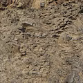Rough Natural Stone Surface With Layered Rock Texture And Geological Patterns